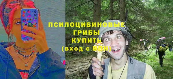 Альфа ПВП Касимов