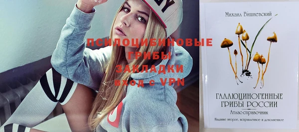 экстази Карпинск